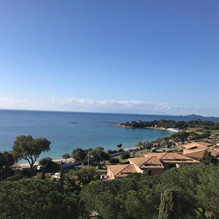 Superbe appartement T2 Vue magnifique Sanguinaires à 50m de la plage Ajaccio  Extérieur photo
